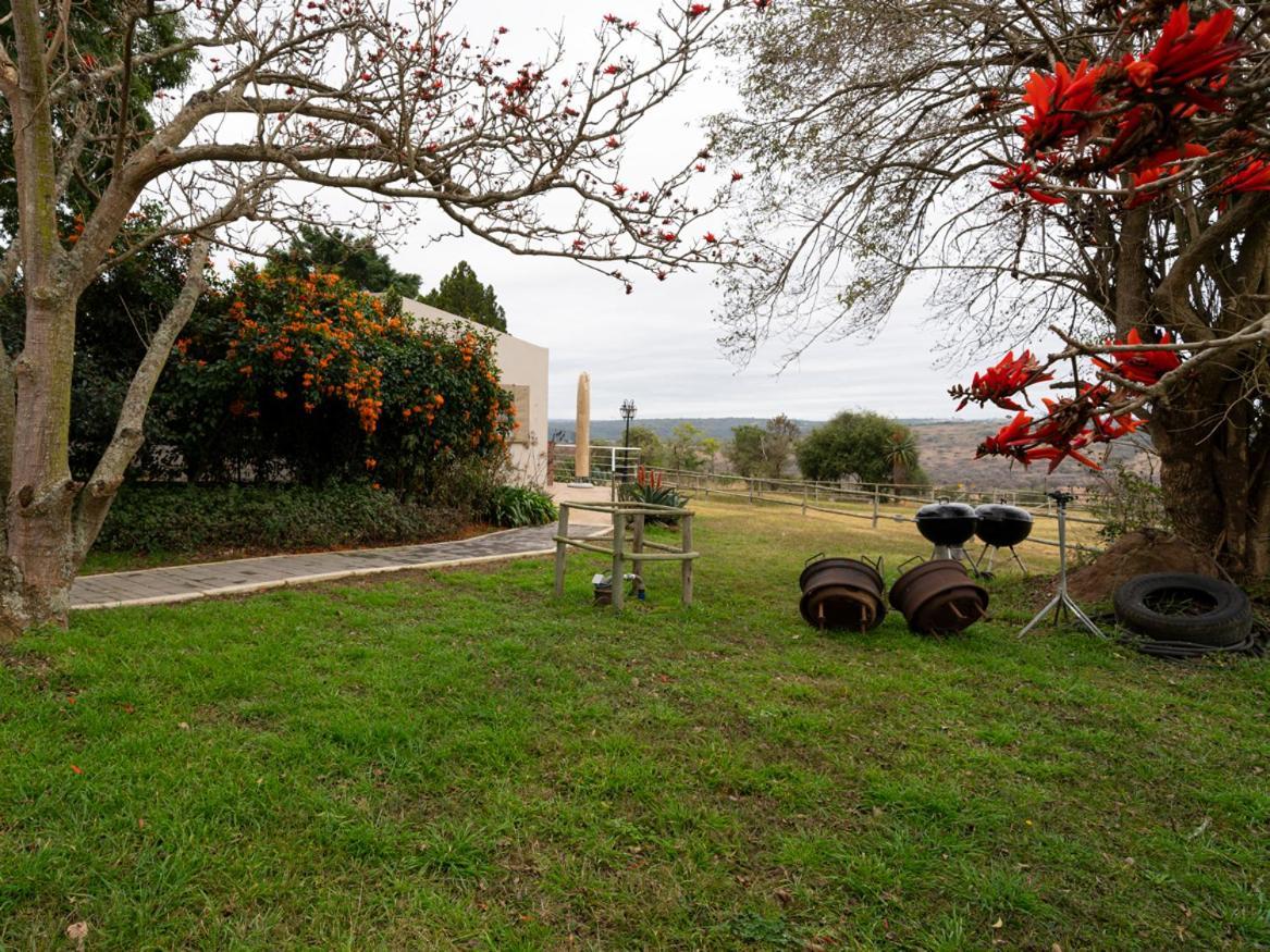 Equestre Bnb Pietermaritzburg Kültér fotó